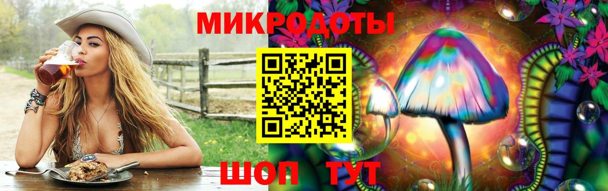 Псилоцибиновые грибы мицелий  Вход с VPN  Нижний Новгород  Галлюциногенные грибы Psilocybine cubensis 